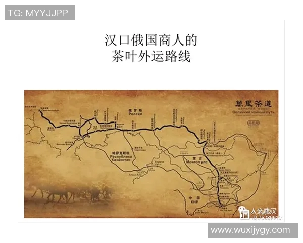 成都极限运动队如何实现整体压制革新与突破的深度探讨与分析