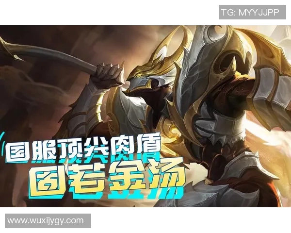 王者荣耀深度解析：RNG战术背后的秘密与策略揭秘